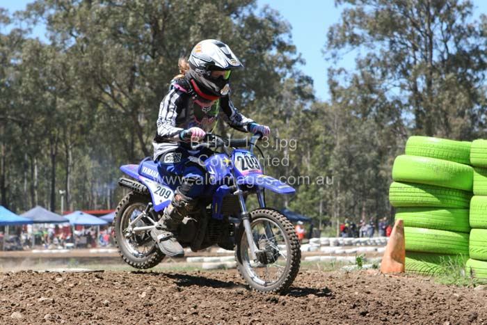 678x444 pixels (85K)